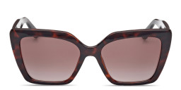 Shop Guess Rhinestone-Embellished Cat-Eye Sunglasses in Havana online.