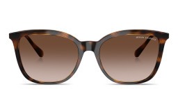Shop Armani Exchange A|X Logo Butterfly Sunglasses in Havana online.