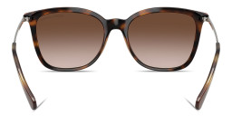 Shop Armani Exchange A|X Logo Butterfly Sunglasses in Havana online.