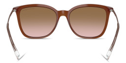 Shop Armani Exchange A|X Logo Butterfly Sunglasses in Brown online.