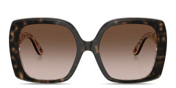 Dolce & Gabbana DNA Oversized Square Sunglasses in Havana On White Barrow – Product Photo 1