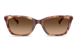 Emporio Armani Eaglo Logo Cat-Eye Sunglasses in Havana – Product Photo 1