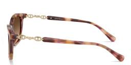 Emporio Armani Eaglo Logo Cat-Eye Sunglasses in Havana – Product Photo 3