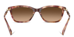 Emporio Armani Eaglo Logo Cat-Eye Sunglasses in Havana – Product Photo 4