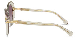 Shop Swarovski Rhinestone-Embellished Butterfly Sunglasses in Transparent Beige online.