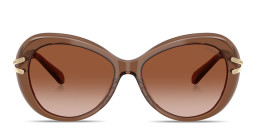 Shop Swarovski Rhinestone-Embellished Butterfly Sunglasses in Brown online.