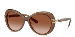 Shop Swarovski Rhinestone-Embellished Butterfly Sunglasses in Brown online.