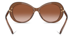 Shop Swarovski Rhinestone-Embellished Butterfly Sunglasses in Brown online.