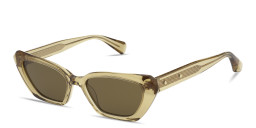 Shop ALL SAINTS Logo Signature Cat-Eye Sunglasses in Transparent Brown online.