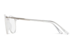 Shop TRICE Logo Round Eyeglasses in Transparent Grey online.