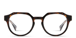 Shop ALL SAINTS Carey Unisex Panthos Eyeglasses in Dark Tortoise online.