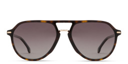 Shop Carrera Logo Signature Pilot Sunglasses in Havana online.