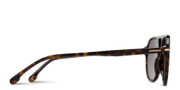 Shop Carrera Logo Signature Pilot Sunglasses in Havana online.