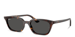 Shop Ray-Ban Zaya Unisex Pillow Sunglasses in Havana online.