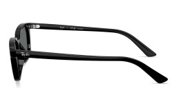 Shop Ray-Ban Zaya Unisex Pillow Sunglasses in Black online.