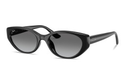 Ray-Ban Logo Signature Unisex Pillow Sunglasses in Black – Product Photo 2