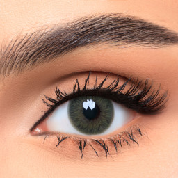 AFLE 1-Day Color Contact Lenses - Emerald in Emerald – Product Photo 1