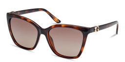 Shop Guess G Logo Square Sunglasses in Havana online.