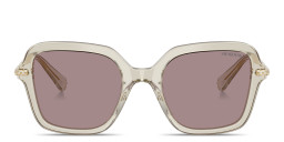 Shop Swarovski Crystal Irregular Sunglasses in Transparent Beige online.