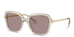 Shop Swarovski Crystal Irregular Sunglasses in Transparent Beige online.