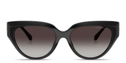 Shop Michael Kors Boca Raton Cat-Eye Sunglasses in Black online.