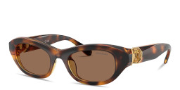 Shop Swarovski Crystal Pillow Sunglasses in Havana online.