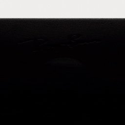 Shop Ray-Ban Meta Skyler Unisex Cat-Eye Sunglasses in Shiny Black online.