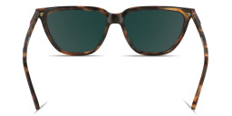 Calvin Klein Logo Signature Cat-Eye Sunglasses in Havana – Product Photo 4