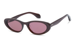 Shop GIGI STUDIOS Thrive 022 Oval Sunglasses in Brown online.