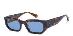 Shop GIGI STUDIOS Natalie II Square Sunglasses in Havana online.