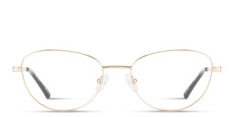 Shop TRICE Logo Cat-Eye Eyeglasses in Gold online.