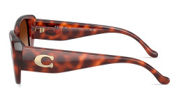 Shop Coach Logo Square Sunglasses in Caramel Tortoise online.