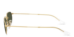 Shop Ray-Ban Logo Signature Unisex Irregular Sunglasses in Arista Gold online.