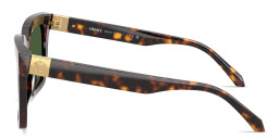 Shop VERSACE Medusa Square Sunglasses in Havana online.