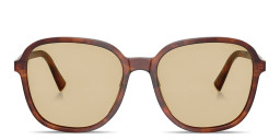 Shop MIU MIU Vertical Logo Oversized Square Sunglasses in Brown online.