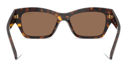 Vogue Eyewear Logo Lettering Butterfly Sunglasses in Dark Havana – Product Photo 4