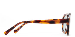 Shop TRICE Malaka Irregular Sunglasses in Tortoise online.