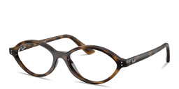 Shop Ray-Ban Romy Optics Unisex Irregular Eyeglasses in Havana online.