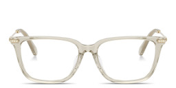 Shop Swarovski Crystal Pillow Eyeglasses in Transparent Beige online.