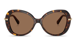 Shop Swarovski Crystal-Embellished Oversized Butterfly Sunglasses in Havana online.