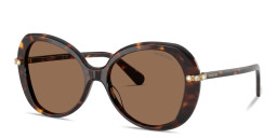 Shop Swarovski Crystal-Embellished Oversized Butterfly Sunglasses in Havana online.