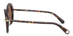 Shop Swarovski Crystal-Embellished Oversized Butterfly Sunglasses in Havana online.