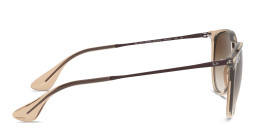 Ray-Ban Round Sunglasses in Brown – Product Photo 3