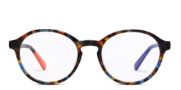 Shop Tempo Round Eyeglasses in Havana online.