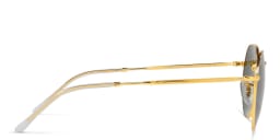 Shop Ray-Ban Jack Unisex Irregular Sunglasses in Gold online.