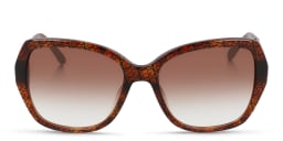 Shop Calvin Klein Square Sunglasses in Tortoise online.