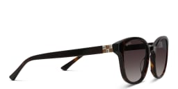 Shop EYE'M Round Sunglasses in Brown online.