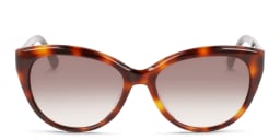 Shop Calvin Klein Cat-Eye Sunglasses in Brown online.