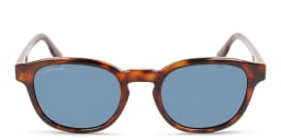 Shop Lacoste Round Sunglasses in Brown online.