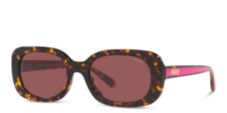 Shop Coach Oval Sunglasses in Tortoise online.